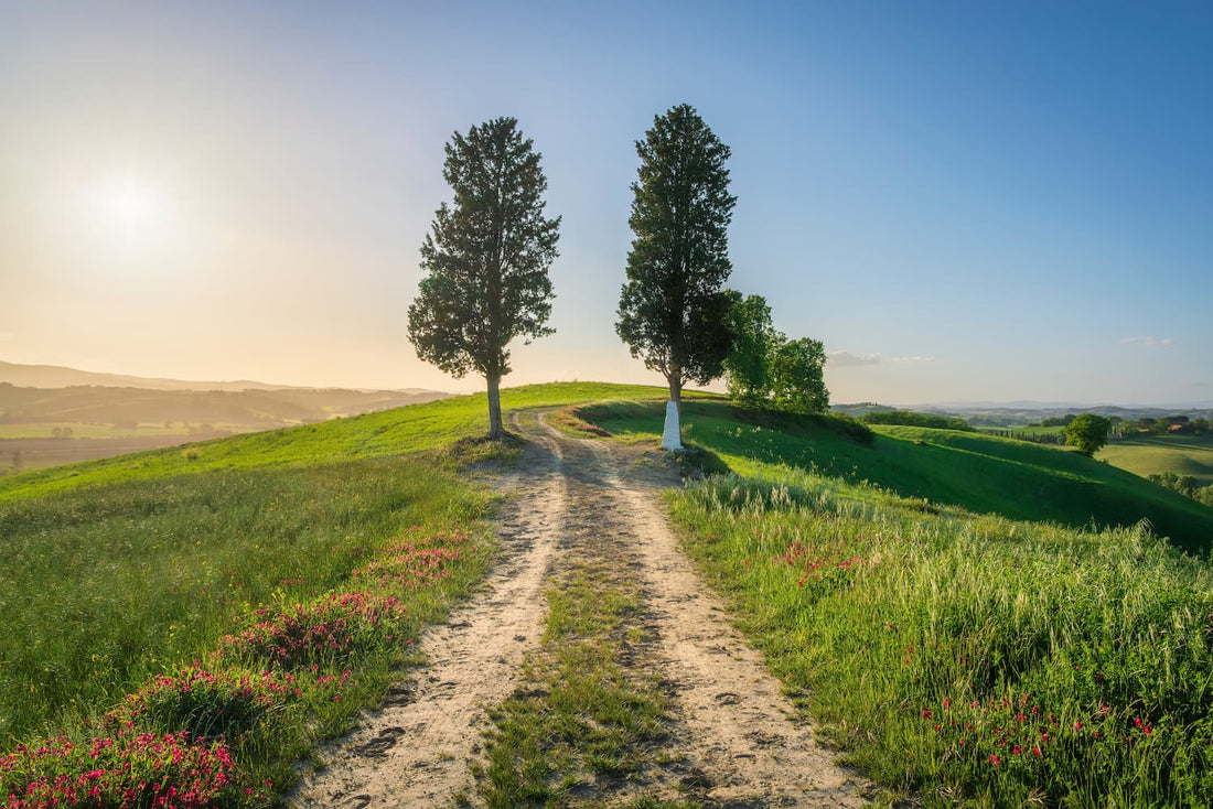 chemin de vie